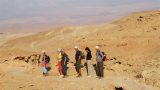 2004_Negev
